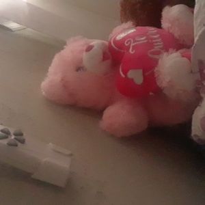 My teddy bear 100 dollars